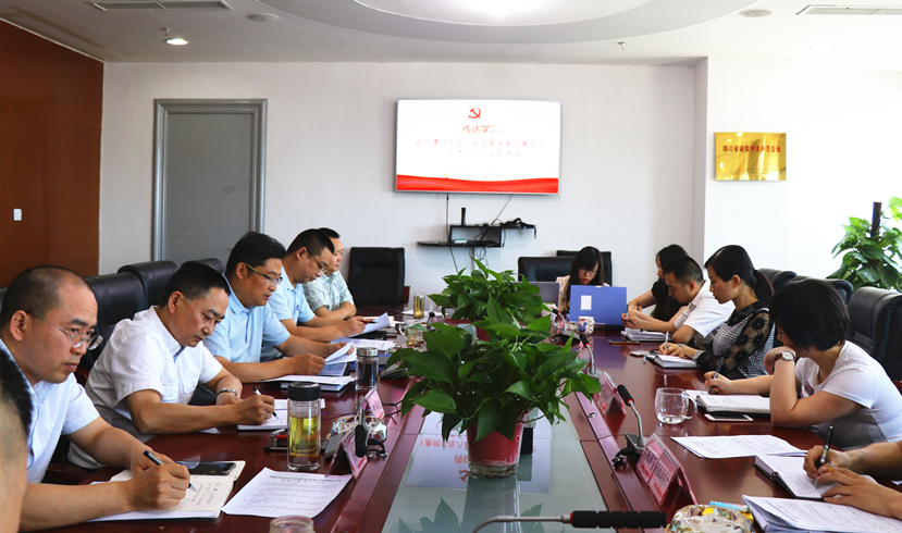 集团公司专题传达学习赵世勇同志 在市委常委会上关于加强领导干部自身建设和班子建设的讲话精神